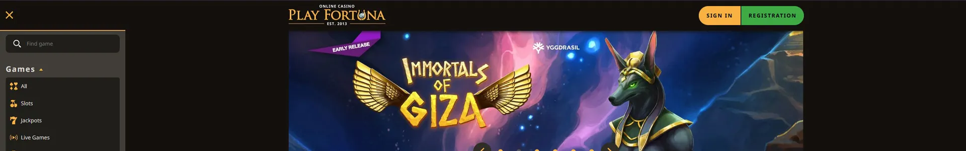 Website