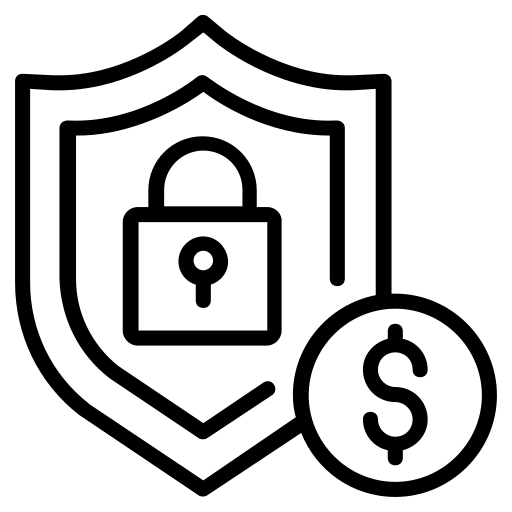 Security shield iDebit